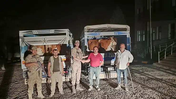 Hayvan Hırsızları Yakalandı
