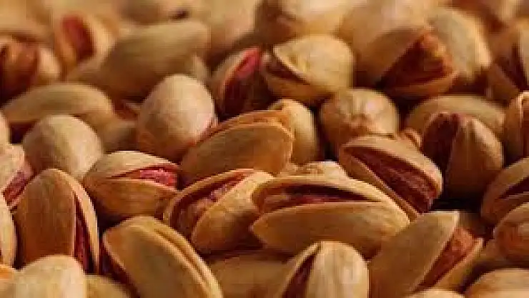 İran Fıstığında Gümrük Oyunu