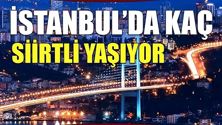 İstanbul'da Yaşayan Siirtli Sayısı Belli Oldu!