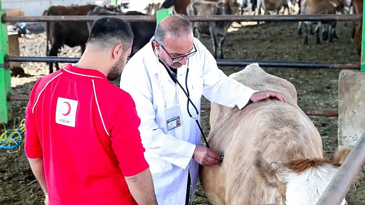 Kızılay'ın 2025 Kurban Vekalet Bedelleri Belli Oldu