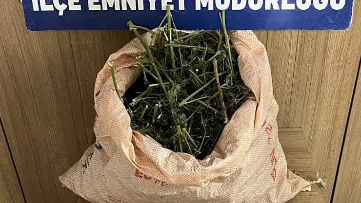 Kurtalan'da polis kovalamacası: Araçta sentetik uyuşturucu ele geçirildi, 3 kişi gözaltına alındı