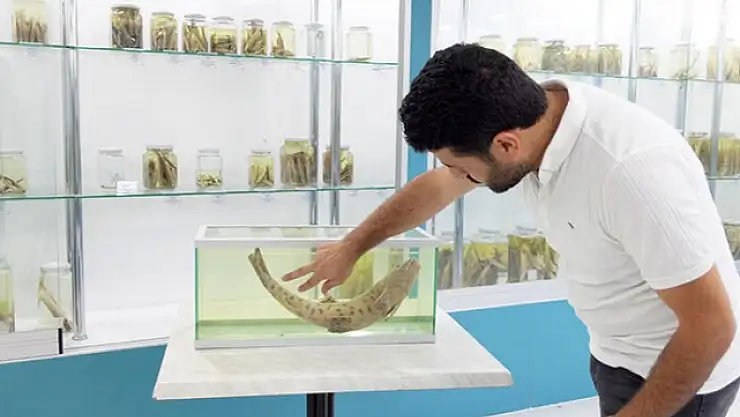 Leopar Sazanı İçin  Keşif Turu Başlatıldı