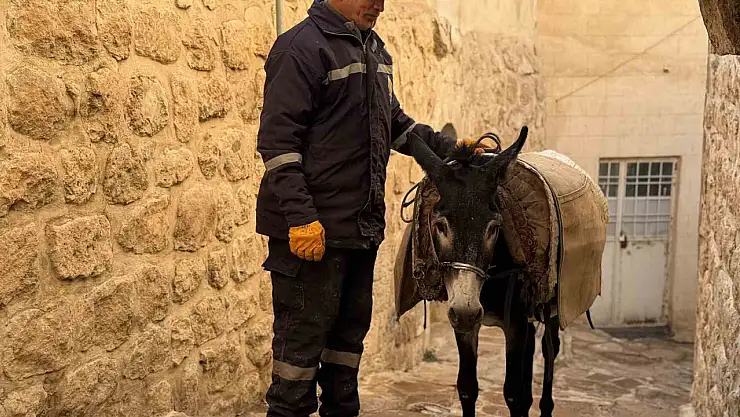Mardin'de 'kadrolu' eşekleri emekli edecek proje hayata geçiyor