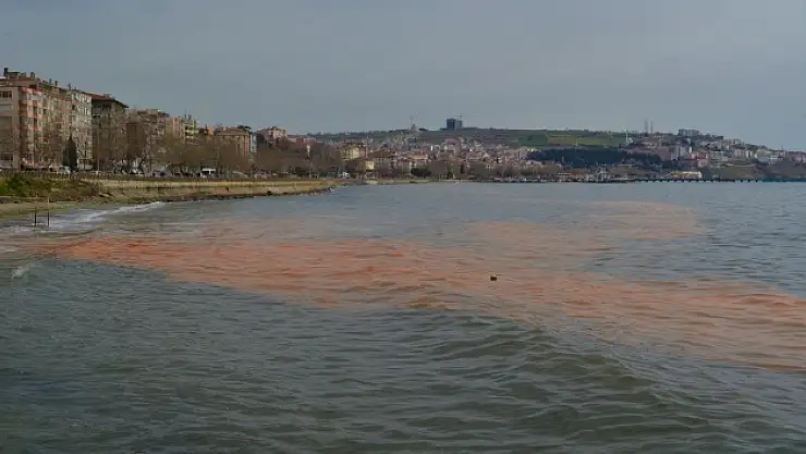 Marmara Denizi turuncuya boyandı