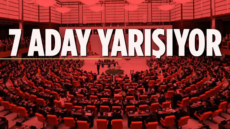 Meclis Başkanlığı İçin AKP Kurtulmuş'u, CHP Bingöl'ü,  YSP Oruç'u, İyi Parti Paçacı'yı, Deva Yeneroğlu'nu,  Gelecek Partisi Özbudun'u ve TİP Atalay'ı Aday Gösterdi