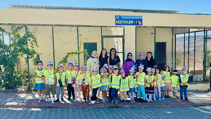 Minik Eller, Can Dostlarıyla Buluştu: Siirt'te Anlamlı Hayvan Sevgisi Etkinliği