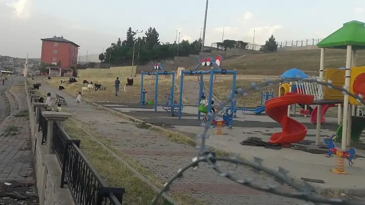 Parkta Hayvanların Otlatılmasına Mahalle Halkından İsyan!