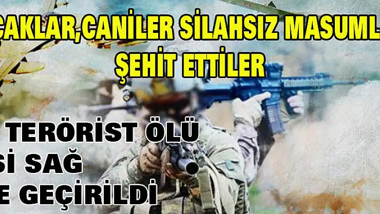 PKK 13 SİVİLİ ŞEHİT ETTİ! 48 TERÖRİST ETKİSİZ HALE GETİRİLDİ, 2 TERÖRİST SAĞ OLARAK ELE GEÇİRİLDİ