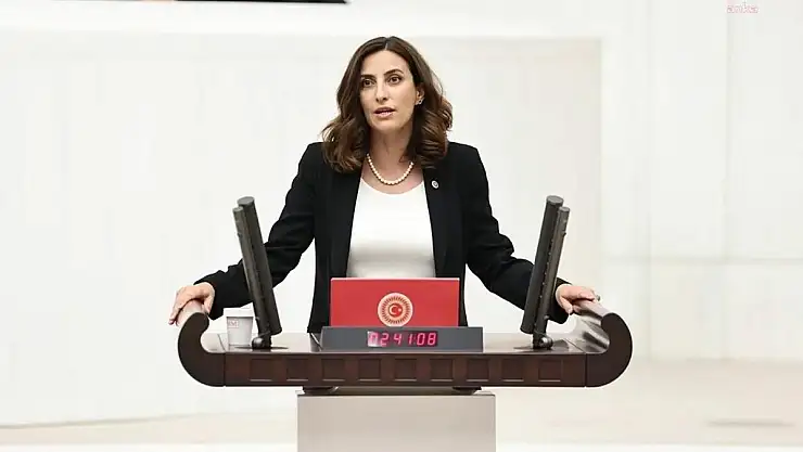 Rızvanoğlu, Diyarbakır-Mardin Yangınını İki  Bakana Da Ayrı Ayrı Sorarak Meclis Gündemine Taşıdı
