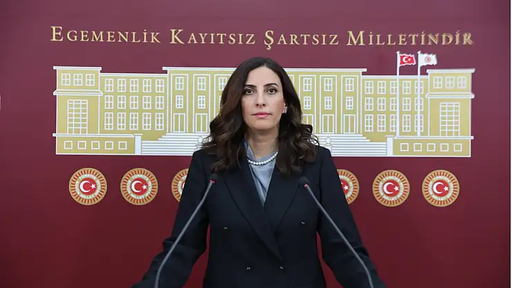 Rızvanoğlu, İklim Kanunu Teklifi'ni Eleştirdi