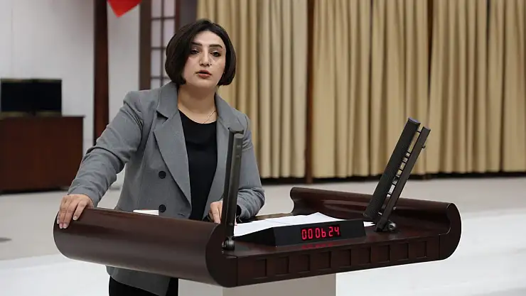 Sabahat Erdoğan Sarıtaş, Siirt'teki İntihar Vakalarını Meclise Taşıdı: 'Önleme Planınız Var Mı?'