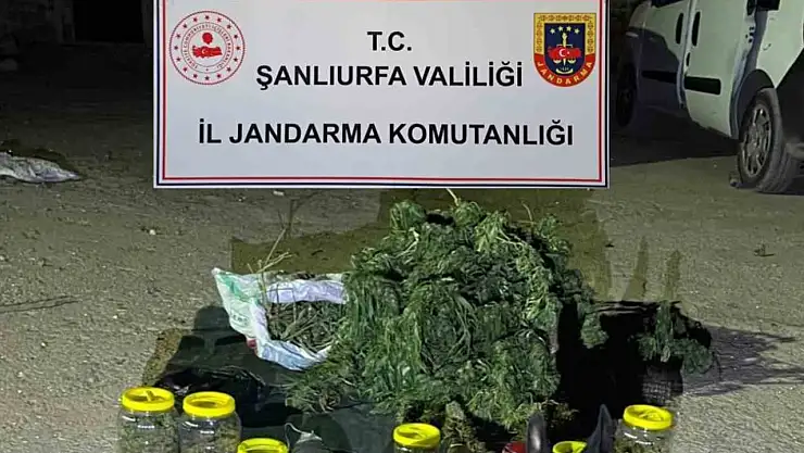 Şanlıurfa'da 13 kilo 600 gram skunk ele geçirildi