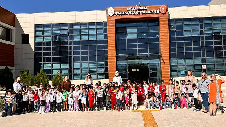 Siirt Alparslan Anaokulu Öğrencilerinden Anlamlı Ziyaret: Hayvan Sevgisini Yerinde Öğrendiler