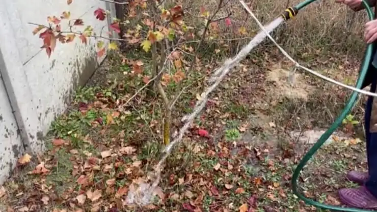 Siirt Belediyesi'nden Su Kullanımı Uyarısı: Şebeke Suyu Tarımsal Amaçla Kullanılamaz!