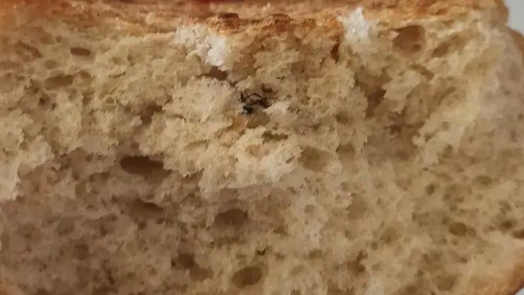 Siirt Eğitim ve Araştırma Hastanesinde Personelin Aldığı ekmekte Böcek Çıktı