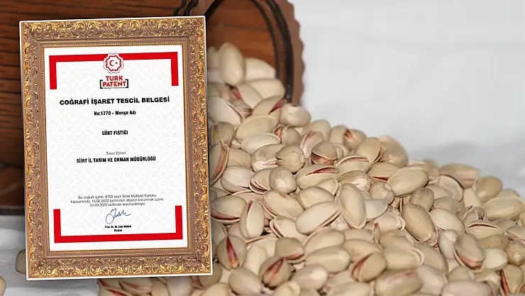 Siirt Fıstığı, Türkiye Patent ve Marka Kurumu Tarafından Mahreç İşareti ile Tescillendi! İşte Siirt'in Tescilli 11 Ürünü