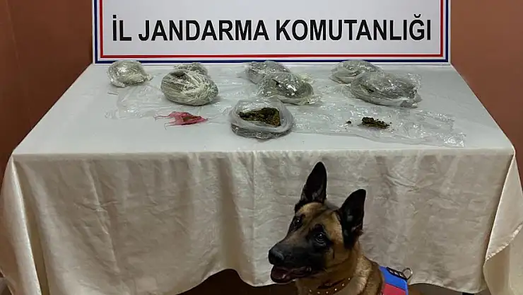 Siirt İl Jandarma Komutanlığı Uyuşturucu Tacirlerine Geçit Vermiyor