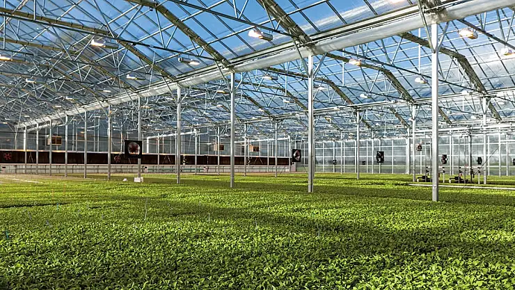 SİİRT İL ÖZEL İDARESİ SERA REVİZYON MALZEMESİ SATIN ALACAK