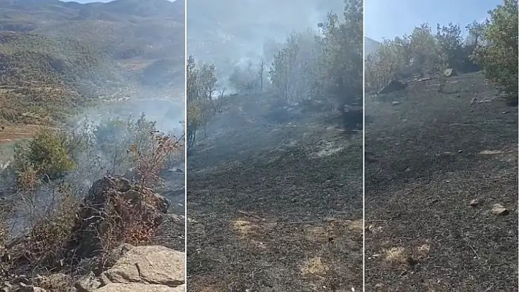 Siirt'in Pervari İlçesinde Yangın! Ağaç Artıkları Yakılırken Ormanlık Alana Sıçradı