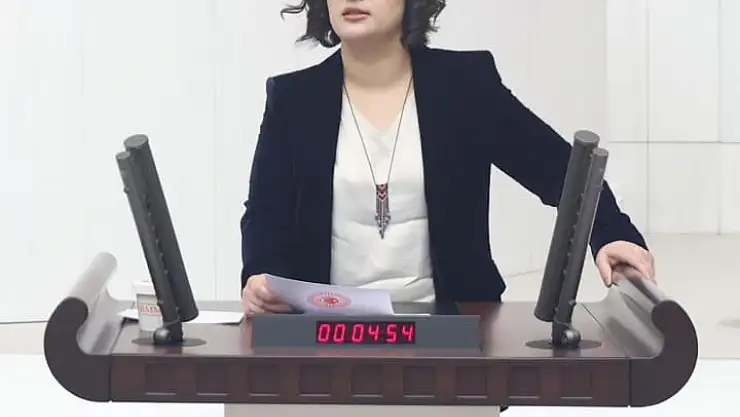 Siirt Milletvekili Sarıtaş, İçişleri Bakanlığına Seçmen Kayıtlarının Kaydırılması İle İlgili Soru Önergesi Verdi!