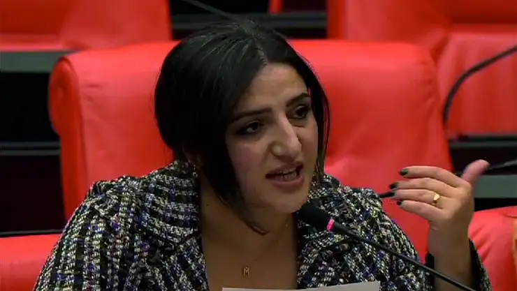 Siirt Milletvekili Sarıtaş, Sağlık Sorunları Hakkında Konuştu (Videoyu Haber)