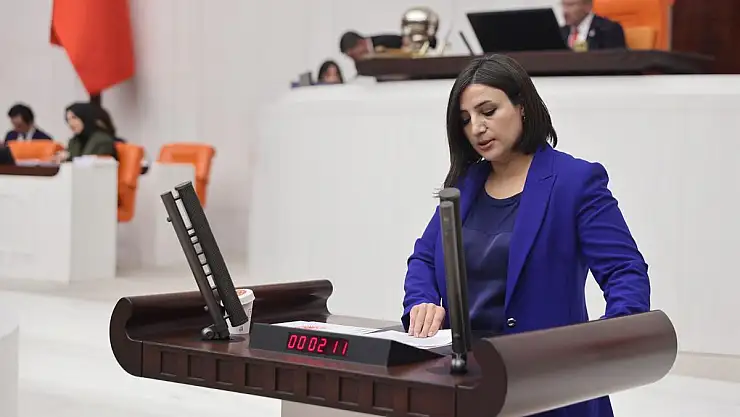 Siirt Milletvekili Sarıtaş, Yoksulluk ve İşsizlik Durumunu TBMM'ne Taşıdı (VİDEOLU HABER)
