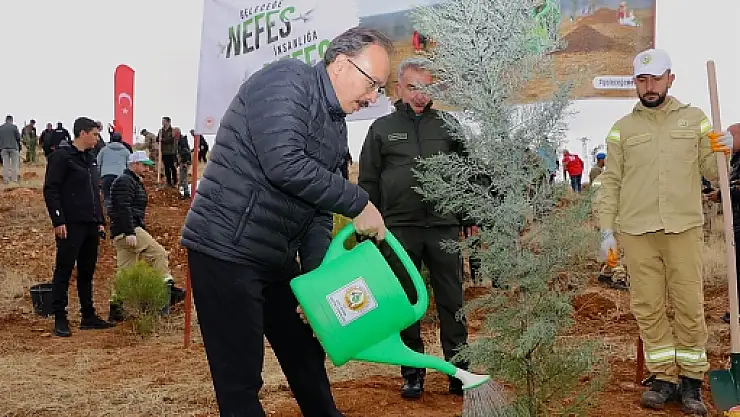 Siirt Orman İşletme Müdürlüğü'nden 2024'te Önemli Çalışmalar