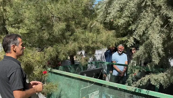 Siirt'te 10 Ekim Ankara Gar Saldırısında Hayatını Kaybedenler Anıldı