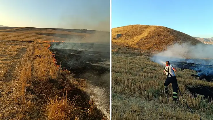 Siirt'te 70 Dönümlük Alan Küle Döndü: Bilinçsiz Vatandaşın Ateşi Felakete Dönüştü