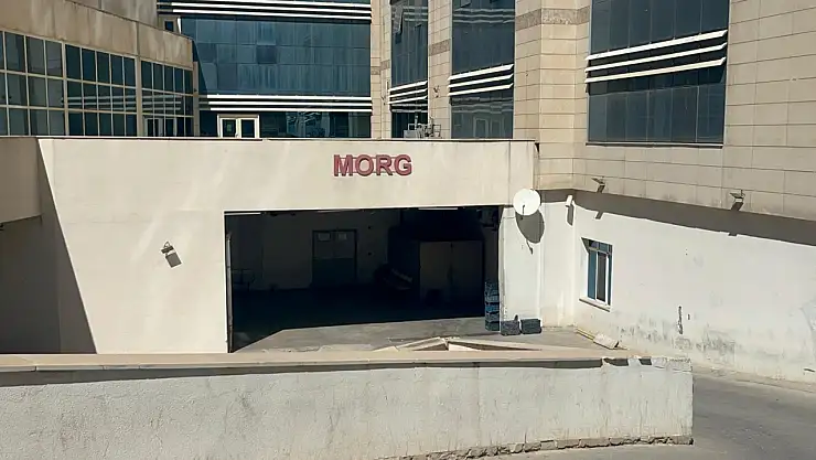 Siirt'te Ağaçtan Düşen Kişi Hayatını Kaybetti