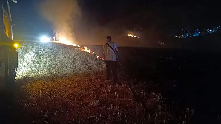 Siirt'te Anız Yangını Paniğe Neden Oldu: İtfaiye Müdürü Uyardı