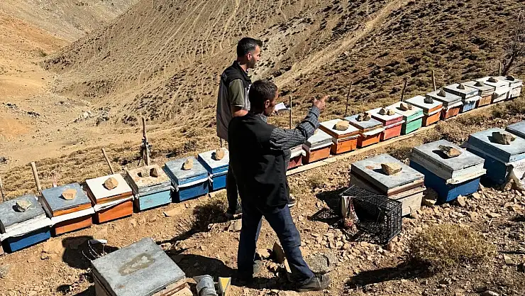 Siirt'te Arılı Kovan Tespit Çalışmaları Başladı