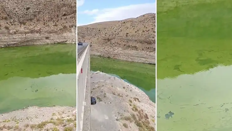 Siirt'te Botan Vadisi'nde Endişelendiren Görüntüler: Ilısu Baraj Havzası Yeşile Büründü!