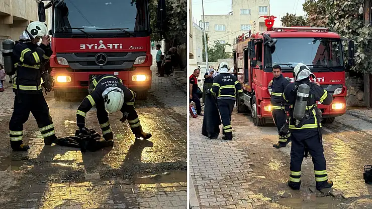 Siirt'te Evde Piknik Tüpü Alev Aldı: Facianın Eşiğinden Dönüldü