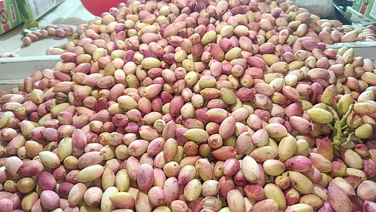 Siirt'te Fıstığı Sıcaklar Değil Vicdansızlık Vurdu! Fiyatlar Uçtu! Piyasayı Kim, Neye Göre Belirliyor? Denetim Yok mu?