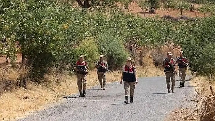 Siirt'te Fıstık Hırsızlıklarına Karşı Devriye Seferberliği