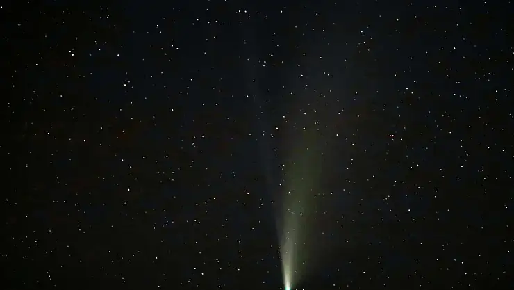 Siirt'te görüntülendi: 1.350 yıl aradan sonra ilk kez