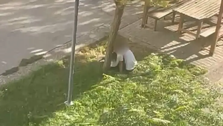 Siirt'te Parkta Çekilen Müstehcen Görüntülere Tepki