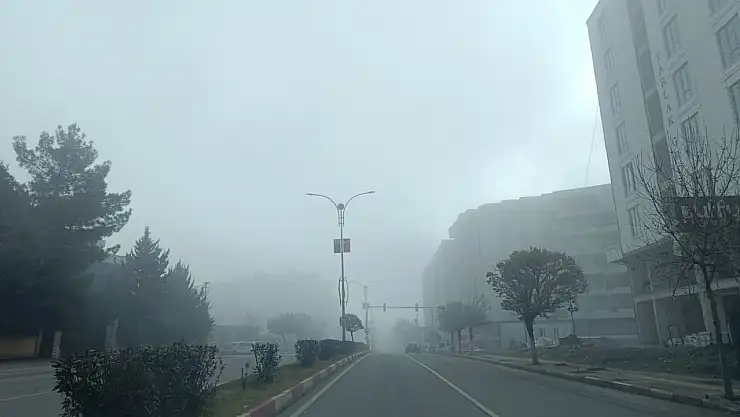 Siirt'te sis etkili oluyor! Görüş mesafesi 50 metreye düştü