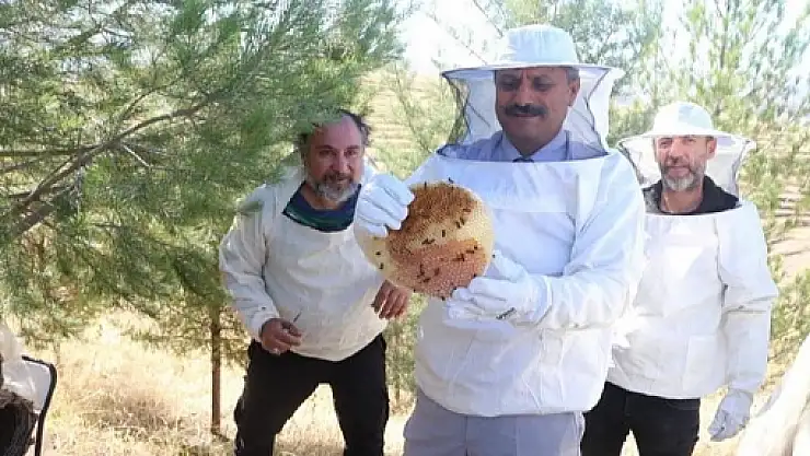 Siirt Üniversitesi Arımer Balı Satışa Sunuldu