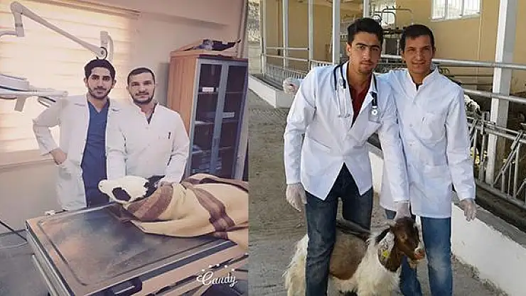 Siirt Üniversitesi Veteriner Fakültesi  TÜBİTAK 1002 Projesi