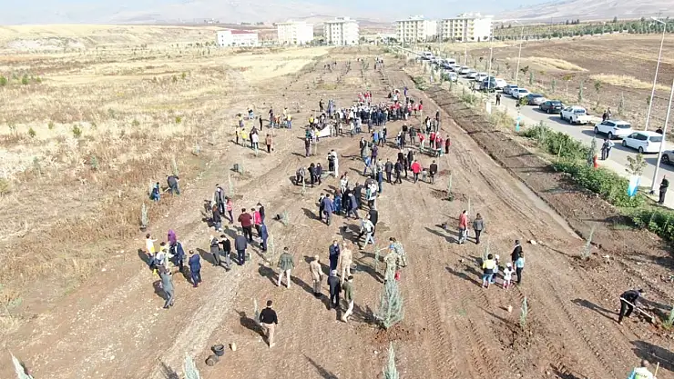 Siirt Valiliği, 11 Kasım Millî Ağaçlandırma Günü İçin Halkı Fidan Dikimine Davet Etti