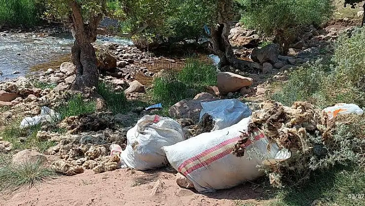 Siirt Zorava Çayı'nda Yün Yıkamanın Yarattığı Çevre Sorunlarına İlişkin Vatandaş Şikâyeti