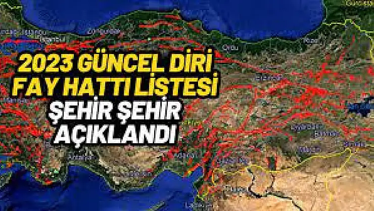 Siirt'in de Aralarında Olduğu 45 İl ve 110 İlçe Doğrudan Diri Fay Hattı Üzerinde!