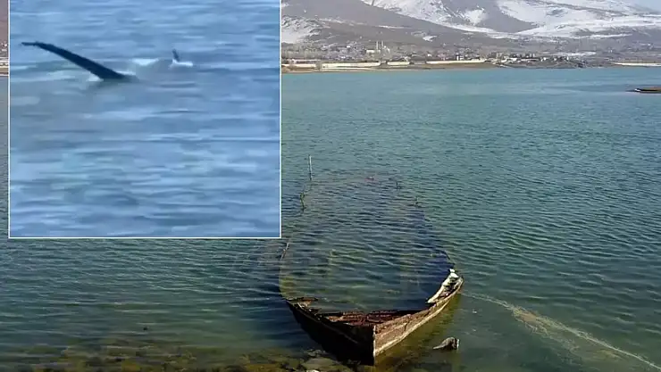 Siirtlilerin Sıkça Gittiği Tatvan'da 'Van Gölü Canavarı' İddiası Yeniden Gündemde