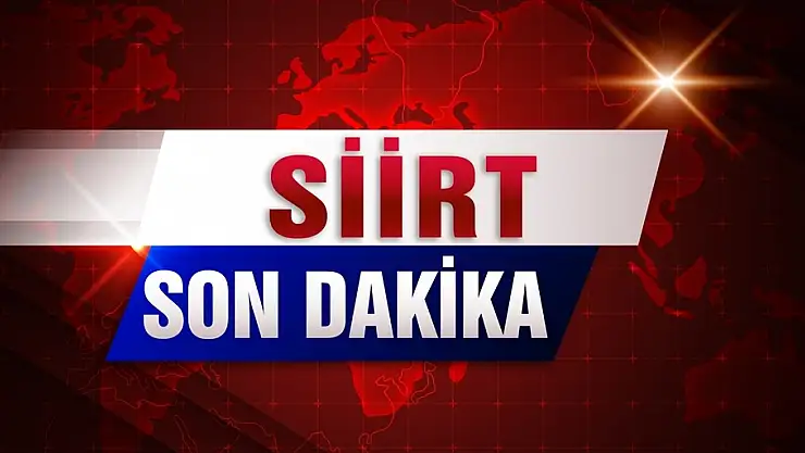 Siirt'te Araba Çarpan Kadın Hayatını Kaybetti!