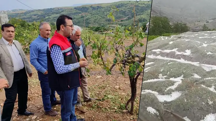 Siirt'te Dolu Yağışı Nedeniyle Sebze ve Fıstık Bahçeleri Zarar Gördü