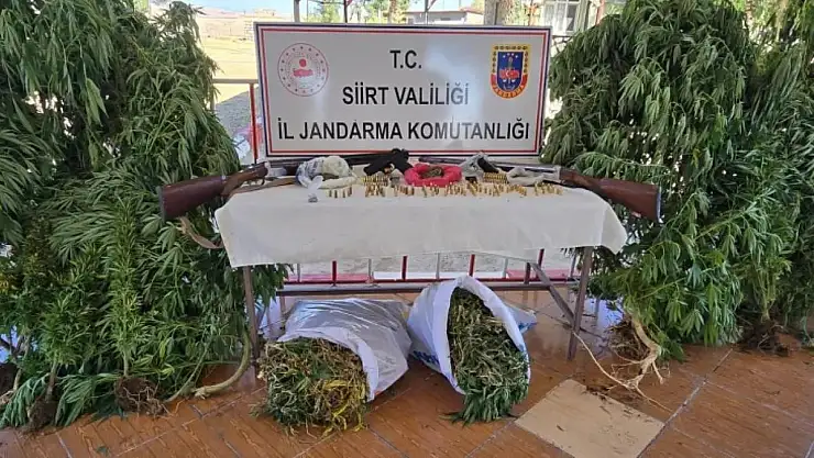 Siirt'te Evinde Kenevir Eken Zanlı Tutuklandı: Silahlar ve Yüklü Miktarda Esrar Ele Geçirildi!