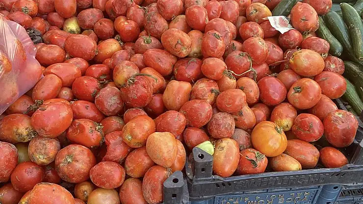 Siirt'te Fırsatçıların Gözü Doymuyor!