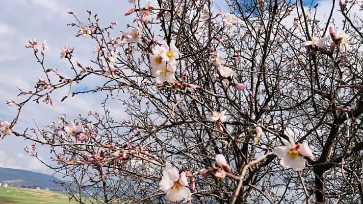 SİİRT'TE HAVA SICAKLIKLARINDA ARTIŞ YAŞANACAK!